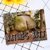 Nature Butts 2026 Calendar Jan. 2026 - Dec. 2026 Wall Hanging Calendar Funny 12 Monthly Planner White Elephant Gag Gifts for Family Friends