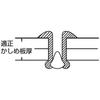 Premium Lobtex Blind Rivets Stainless Steel NSS63 (1000 Pieces) 6-3