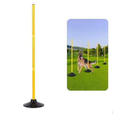 Fotbal – Accesorii pentru fotbal