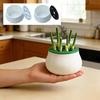 Vertical Green Onion Planter Space-Saving Design Plant Propagation Station  Outdoor Gardening