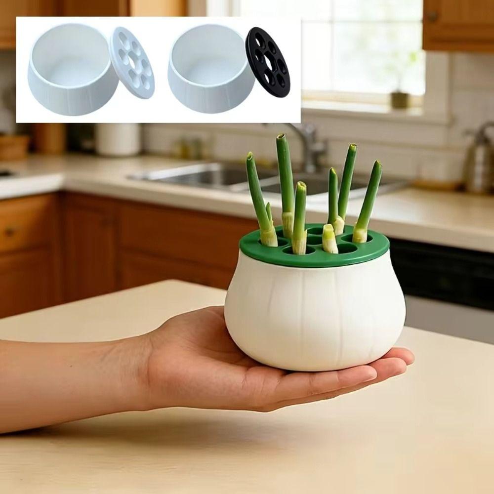 Vertical Green Onion Planter Space-Saving Design Plant Propagation Station  Outdoor Gardening