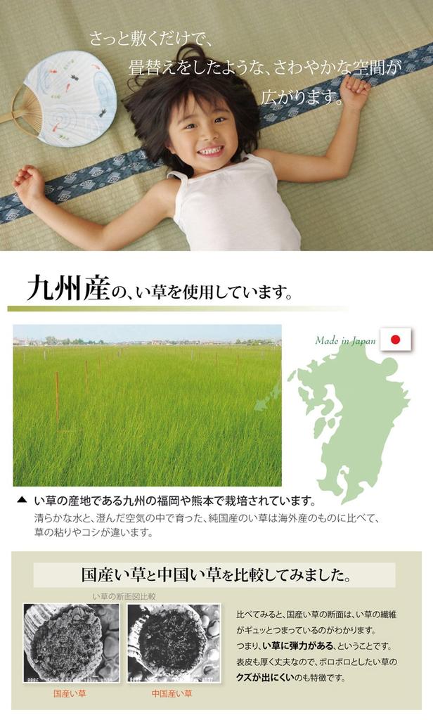 Ikehiko Igusa Rug Smile Honma 8 tatami mat 382 x 382 cm Made in Japan Overlay Carpet Double Weave Hiba Processing Beige approx. #1104288