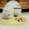Slow Feeder Dog & Cat Bowl with Anti-Choke Licking Plate and Fun Pet Placemat