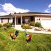 Acrylic Rooster Decor Chicken Yard Art Garden Decoration Ornament, Decor For Outdoor-for Gardens Backyards 2pc