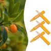 10 Pezzi Attraente per Moscerini della Frutta Liquido Uccisore di Moscerini della Frutta all'Aperto Attrattivo per Drosophila per Giardini Cortili Serre Vivai