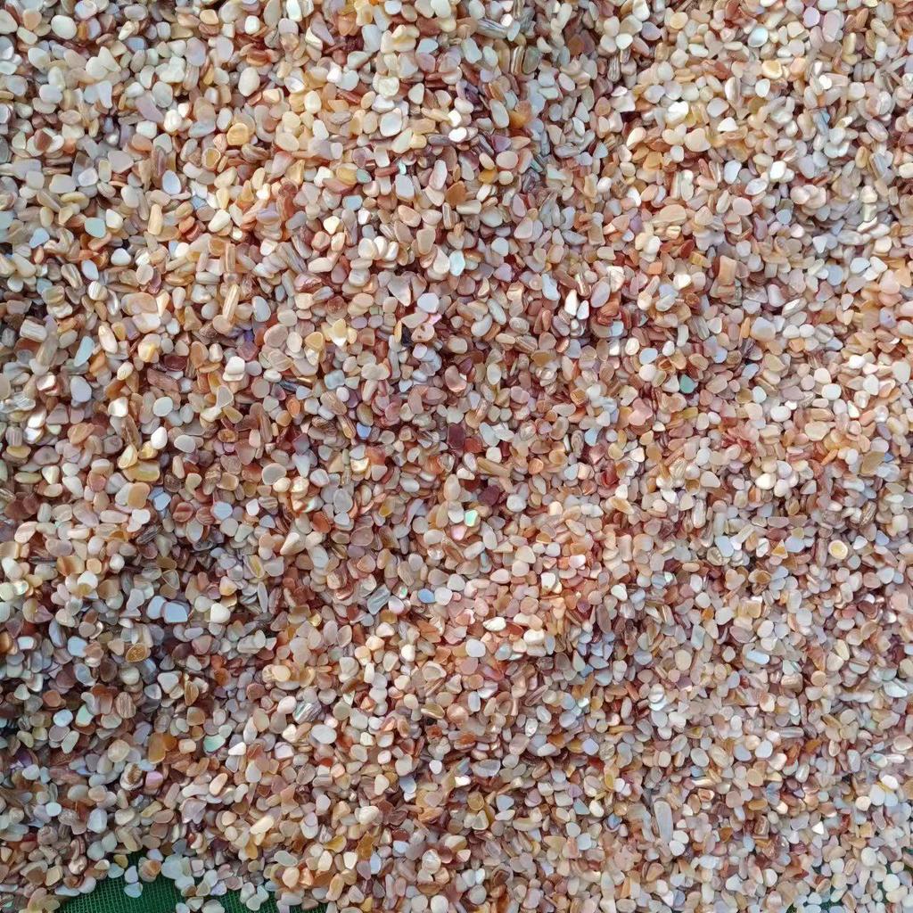 Piedras de Concha de Terrazzo Blanco y Negro de Nácar para Decoración de Acuario y Maceta