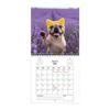 Wall Calendar 2026 with Holidays Weekly Daily French Bulldog 2026 Calendar Planner for Academic Appointment Home Office School