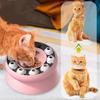 Popular Multifunctional Cat Supplies Leaky Slow Food Bowl Cat Self-Hi Interactive Toys Pet Cat Supplies