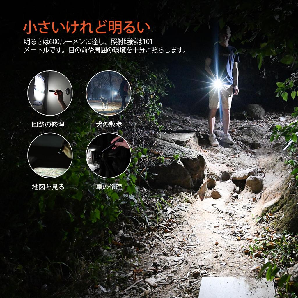 ACEBEAM Pokelit 2AA Nichia 519A High Color Daylight 600 Small Compatible with AA IP68 Practical Light Up To Stable LED Disaster Handy Daily Carry