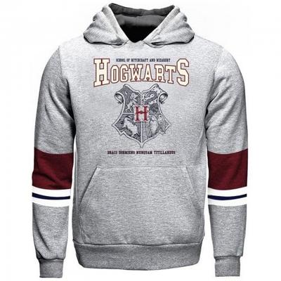 HARRY POTTER Childrens/Kids Hogwarts Crest Hoodie