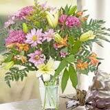 

CD KOHIRUIMAKI KAHORU - SMILE FOR ME Japan Japanese Pop/Rock Used