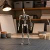 Stop Motion Armature Metal Puppet Adjustable Joints Steel Model Skeleton for Animators,