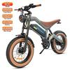 Electric Bicycle All Terrain DYU 20" 1000W Motor Full Suspension Top Speed 50Km/h Adult Ebike 18.2AH 7 Speed Grey M20