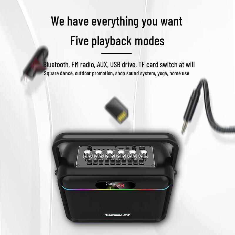 Newmine K112 Portable Karaoke Bluetooth Speaker