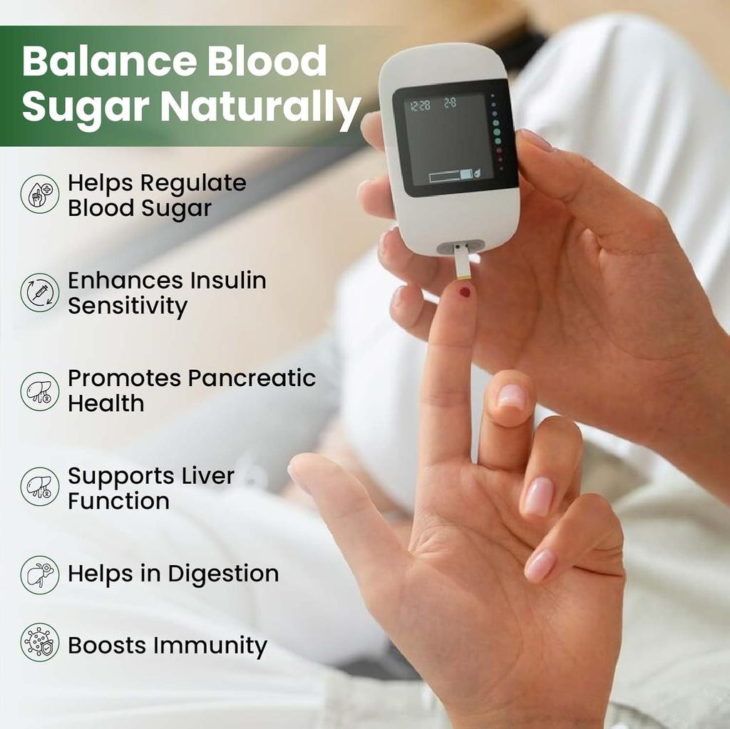 Vlado's Himalayan Organics Diabetes Support Supplement 60 Veg Capsules Herbal Blood Sugar Support Formula