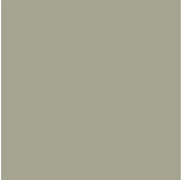 Columbia Rapid Rivers™ Cargo Pants