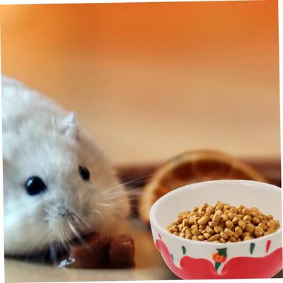 Hamster Mama Kabı Tavşan Yemliği Su Kabı Seramik Küçük Hayvan Kapları Çömlekçilik Evcil Hayvan Kabı Gine Domuzu Yemlik Kabı Malzemeleri