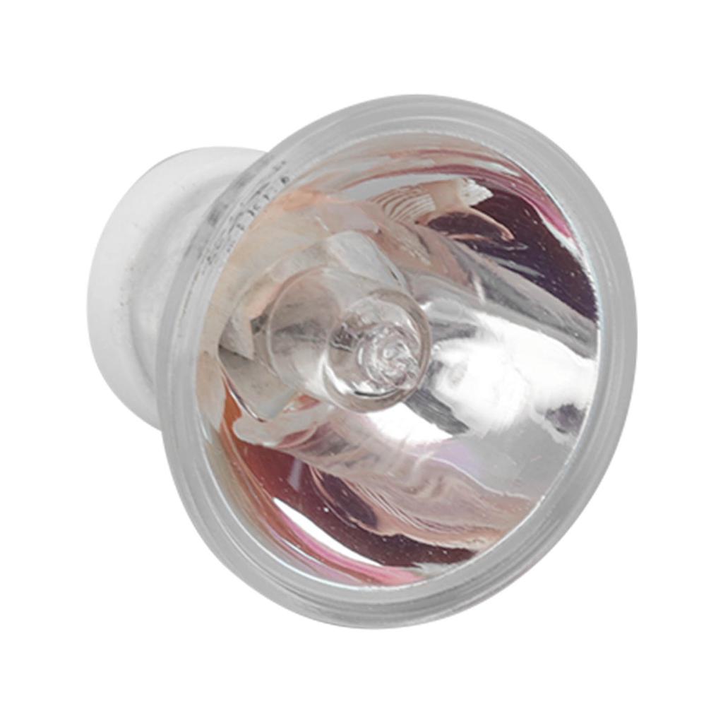 Dental Chair Halogen Bulb Lights Professional Heat Conduction 12V 75W 35mm Bulbs for Dentists