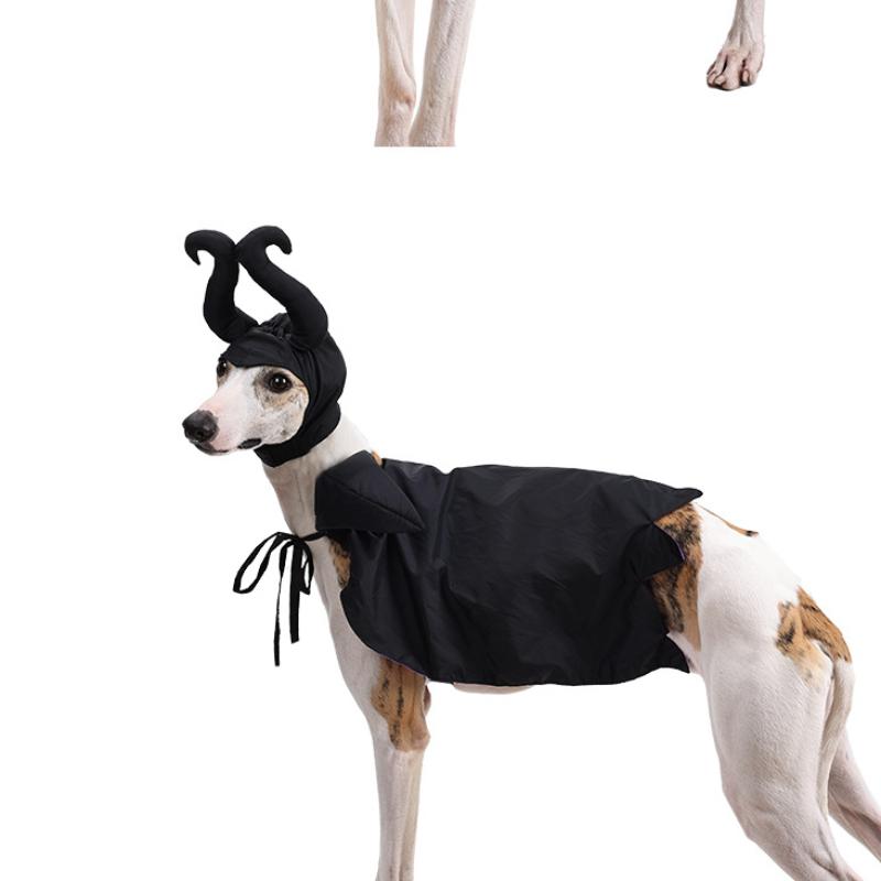 Pet Halloween Cloak Hat Witch Suit Cat Dog Transformer Costume Christmas Dress Up Pet Clothes