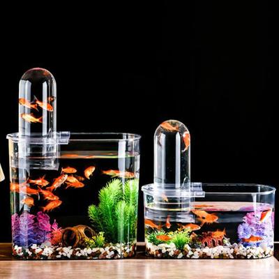 Mini Fish Tank Turtle Tank Breeding Tank with Lid Reptile Terrarium Tank Sturdy Multipurpose Fish Bowl for Desk Decorative