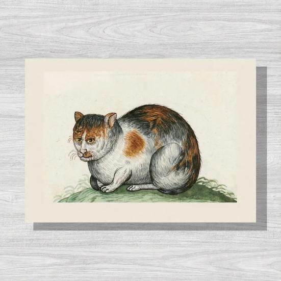 Pisici Urate în Picturi Renascentiste Calendar 2026 Pisici Medievale Amuzante Calendar de Perete Vintage Planificator 12 Luni Artă de Perete cu Pisici Renascentiste Ciudate pentru Pisici