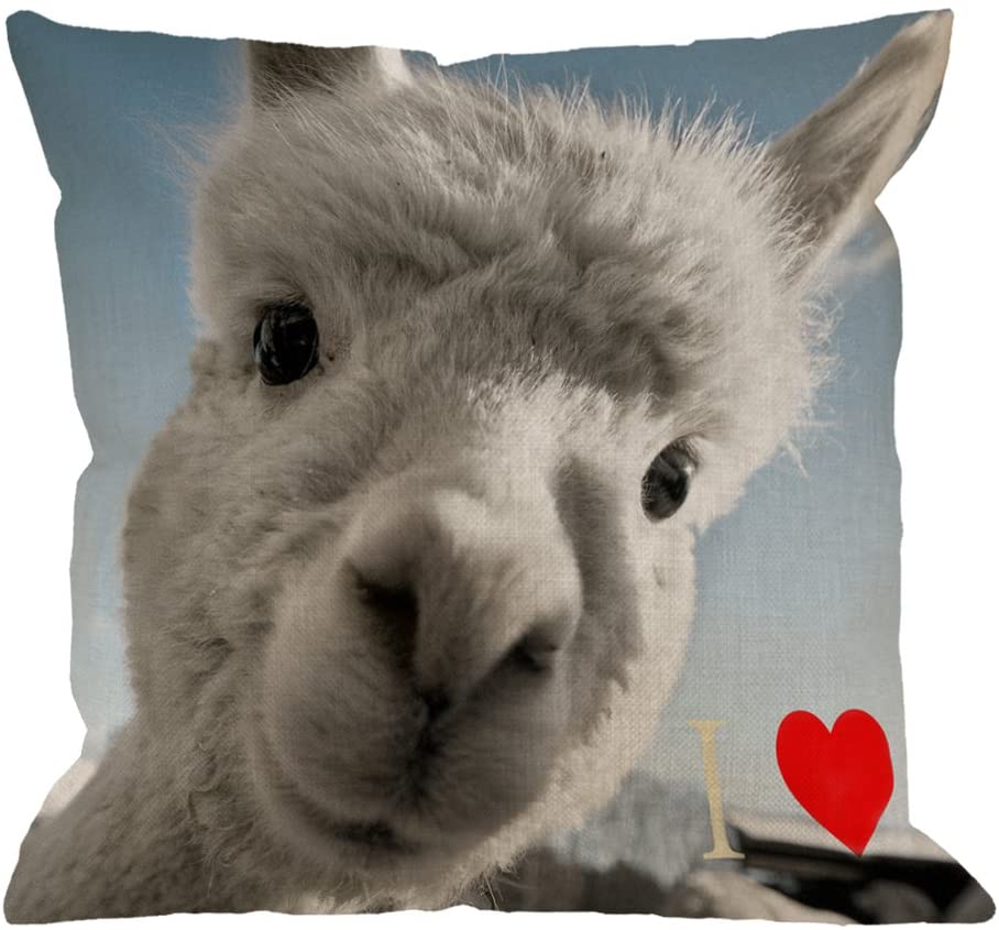 

Наволочка Moose Throw Бавовняна білизна Квадратна наволочка Стандартна наволочка для дому Декоративний диван Крісло Спальня