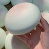 Melon Slow-Rising Squeeze Toy Soft PU Sensory Toy Cute Fruit-Shaped Decompression Gadget for Relaxation And Anxiety Relief
