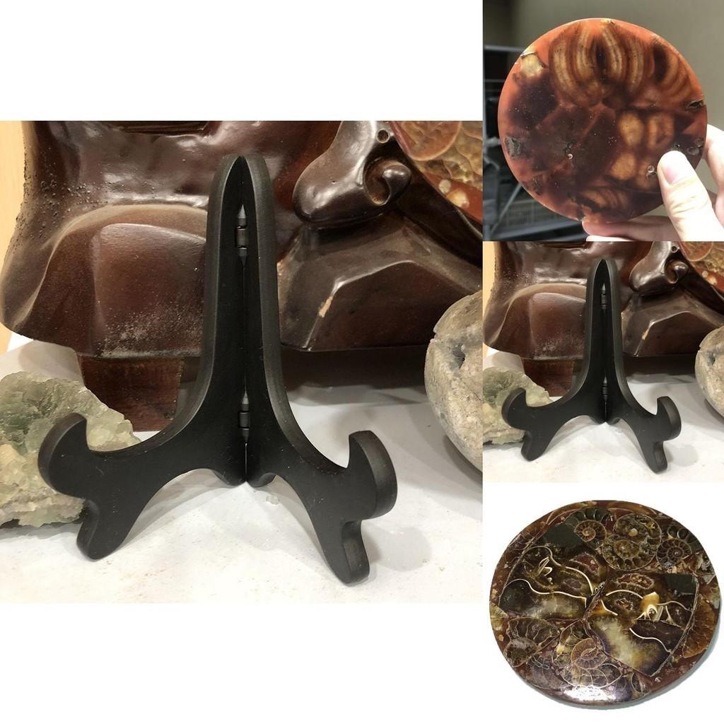 Exquisite 1pc Natural Ammonite Fossil Quartz Crystal Disk Shell Plate Conch Stand