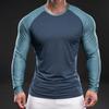 Spring Men's Long-sleeved Ice Silk T-shirt New Casual Round Neck Handsome Base Shirt Young Slim Men