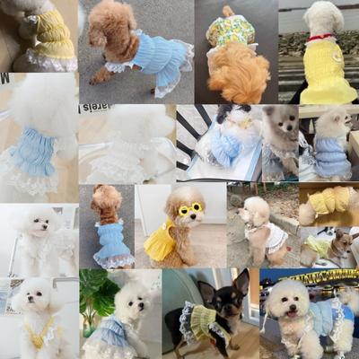 Giyim ve ayakkabı – Köpek elbiseleri