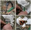 Acciarino magnesio survival accendifuoco accendifuoco