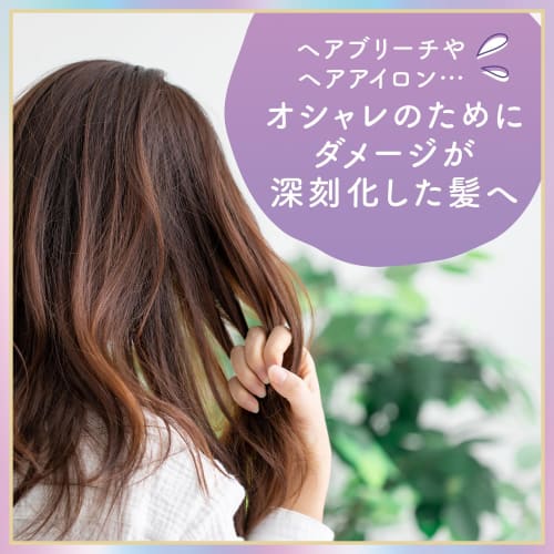 [Set sale Shampoo & Treatment] LUCIDO-L #Texture reconditioning Damage repair Osmanthus x Grapefruit scent