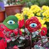 Outdoor Garden Patio Colorful Simulation Eyes Set Of 6 Flower Arrangement Rustic Resin Insert Decorative Ornament