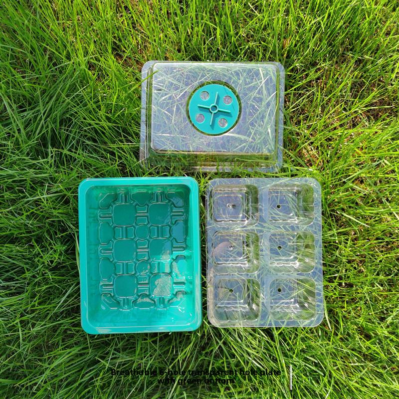 Gardening Seedling Tray Set: 6-Hole & 12-Hole Trays with Air Vents and Switchable Lids - 3 Pieces