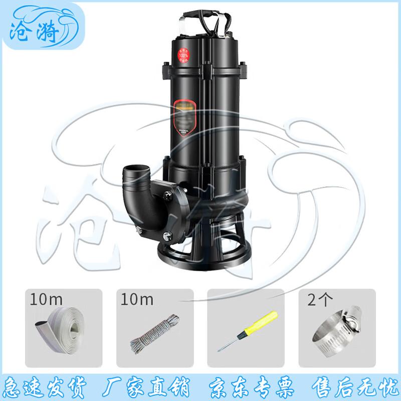 Cangyi Emergency Industrial Drainage Pump