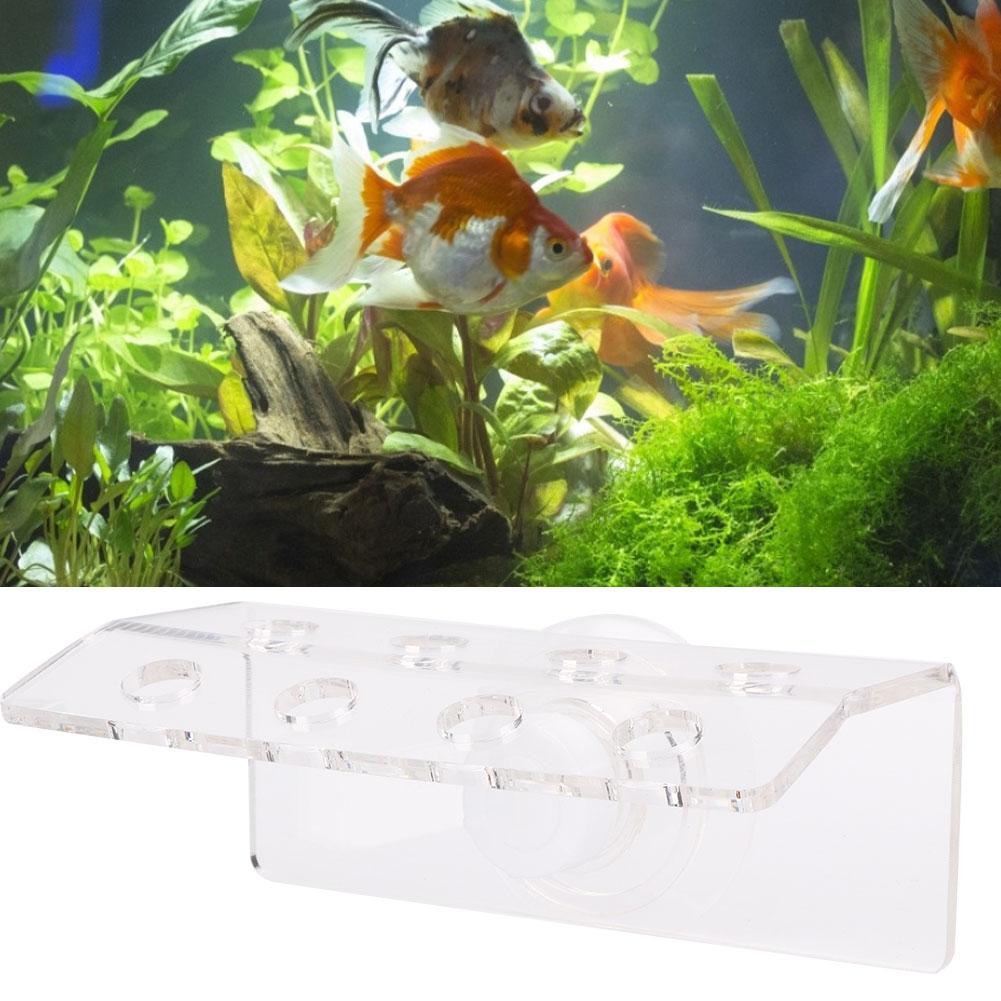 Acrylic Transparent Aquarium Front Loading Curved Coral SPS Button Snags Bracket Mount Fish Tanks