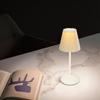 Rechargeable LED Table Lamps Touch Desk Lamp Wireless Night Light Restaurant Bar Desktop Mood Lighting Bar Decoration