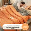Luxury Heavy Weighted Thick Blankets for Winter Warm Milk Velvet Sofa Bed Throw Blankets Skin-friendly Three Layer Plush Blanket