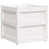 Plant Pot White 50x50x50 Cm Solid Pine Wood