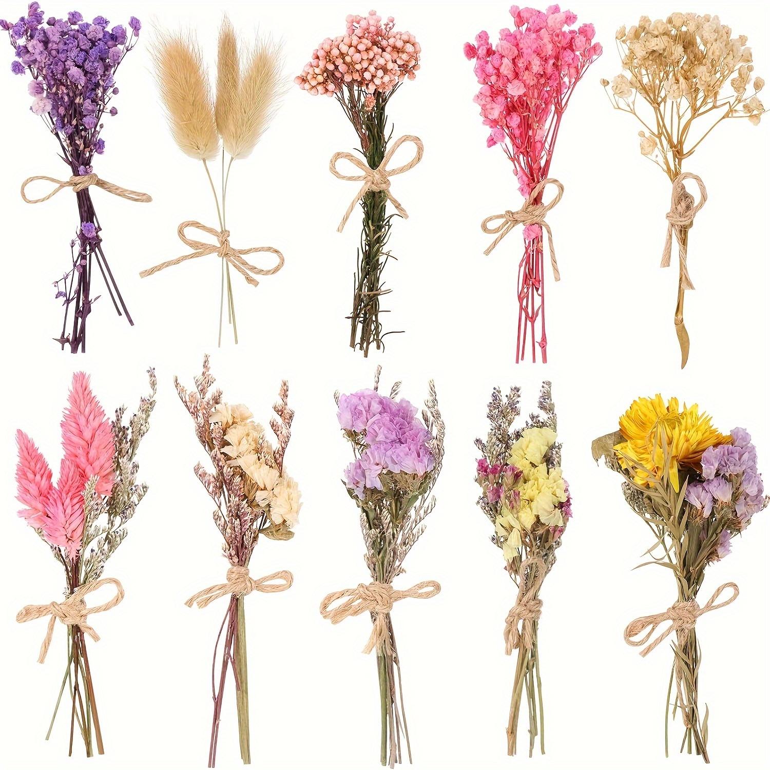 

10Pack Artificial Floral Arrangement Dried Flowers for Vase Wildflower Decor Crafts Bouquet Various Dried Flower with Stem for Vase DIY Wedding Decor розовый