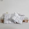 Muji Winter Antibacterial Goose Down Quilt