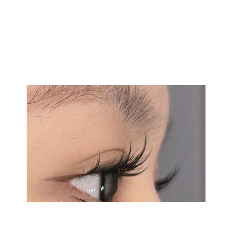denivyse - Individual Cluster False Eyelashes (Various Designs)