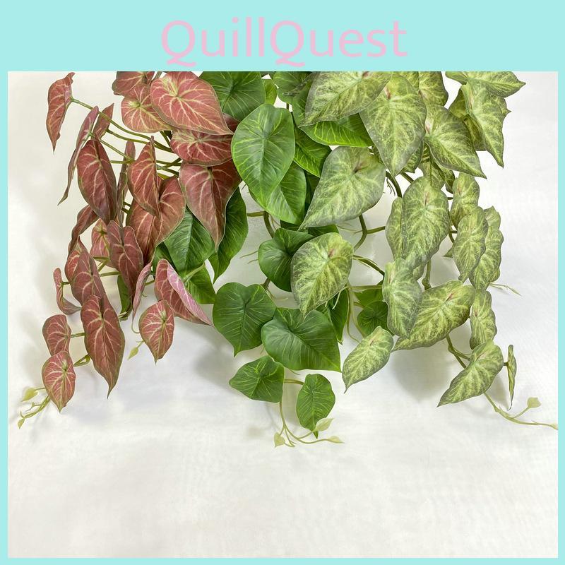 Epipremnum Aureum Wall Mounted Hanging Basket For Home Decoration Styling Event