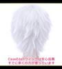 CaseEden Cosplay Wig, Short, 30cm, Heat-Resistant, Silver, White-Silver, Silvery-White, Includes 2 Wig Nets