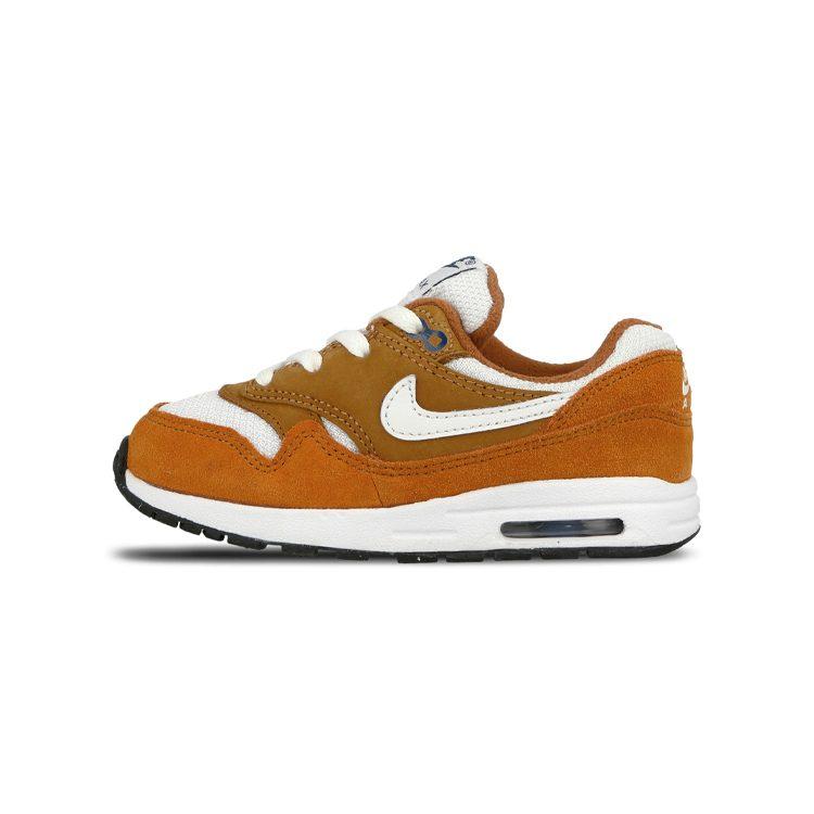 Nike Air Max 1 Curry 2018