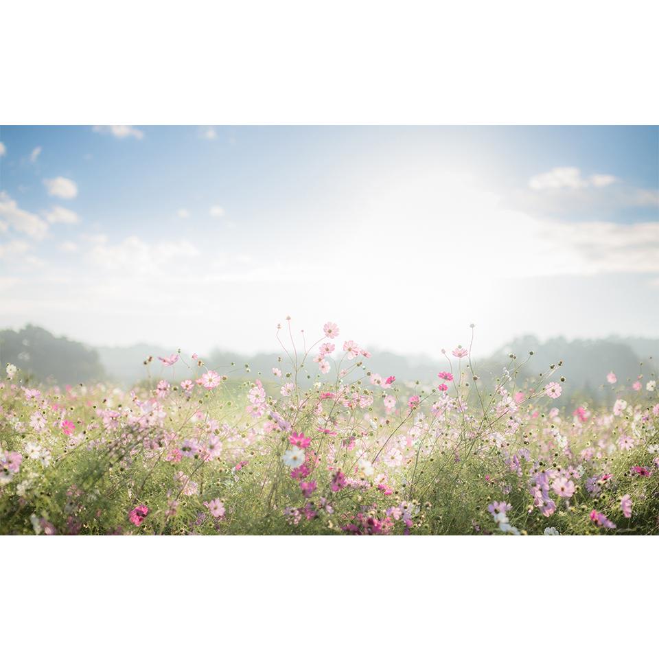 

Пейзаж DIY 5D алмазная живопись горный хрусталь художественная картина полная алмазная вышивка пейзаж комплект для вышивки крестом мозаика домашний декор Full Round 20x30CM