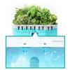 10 Pods Hydroponic Growing System, Indoor Herb Garden Kit with Grow Light, Smart Garden for Home