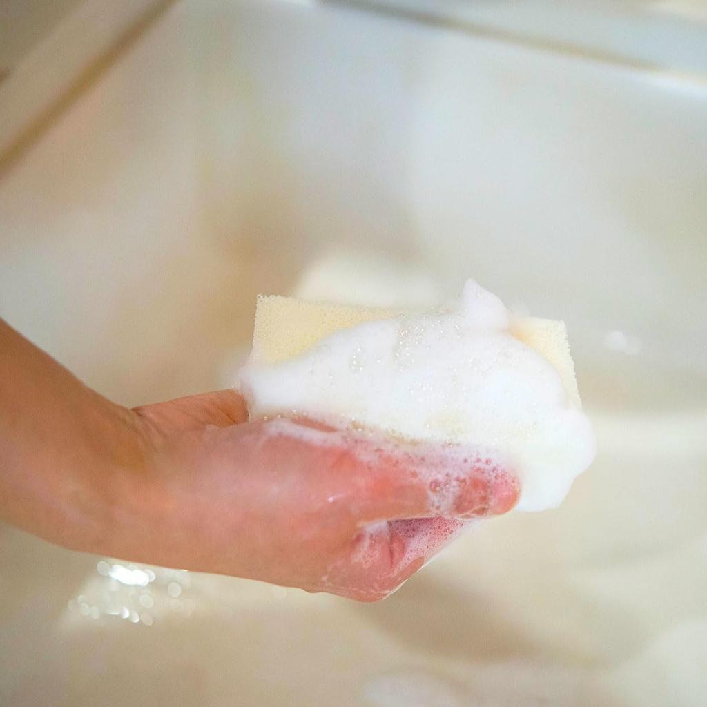 Kitchen Bubble Cat Dishwashing Detergent [500ml] 100% Natural Ingredients, No Additives, Made In Japan, VISIONS Original, Cat Visions