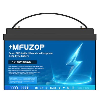 US EU Stock 6000 Cycle Battery 12V 24V 100Ah 200Ah Lifepo4 Lithium Battery Solar Energy with Smart BMS for Energy Storage