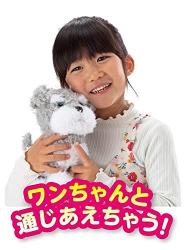 Iwaya One Training Together 1, 2, 3! Miniature Schnauzer